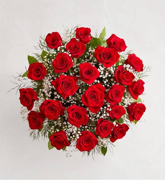 Ultimate Elegance™ Long Stem Red Roses (24 Stems Red)