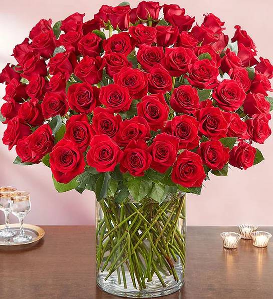 100 roses rouges à longue tige de qualité supérieure
