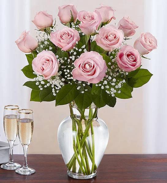 Rose Elegance™ Premium Long Stem Pink Roses (12 Stems Pink)