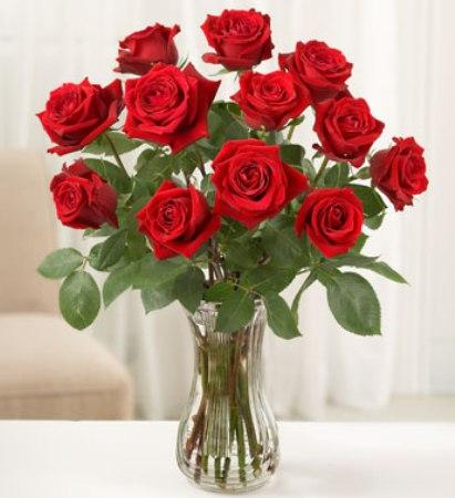 12 vase à roses rouges