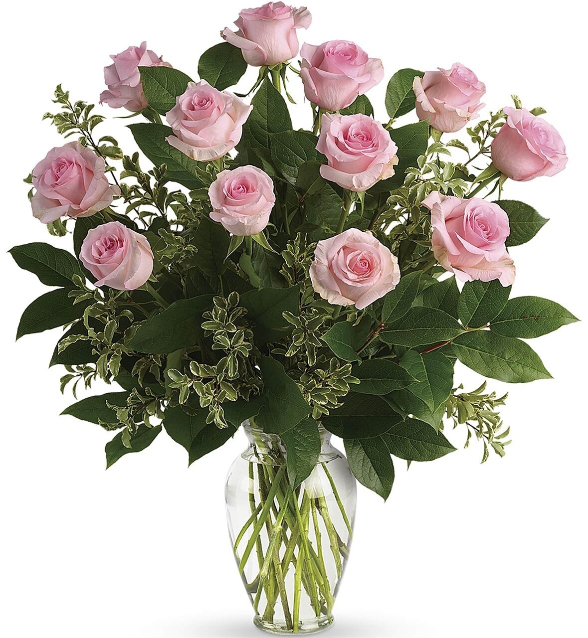 12 roses roses