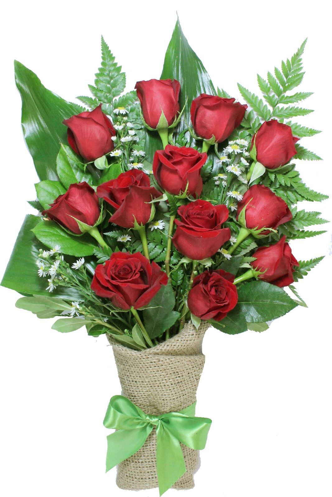 12 roses rouges