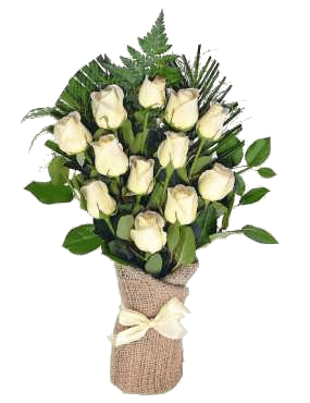 12 Roses blanches