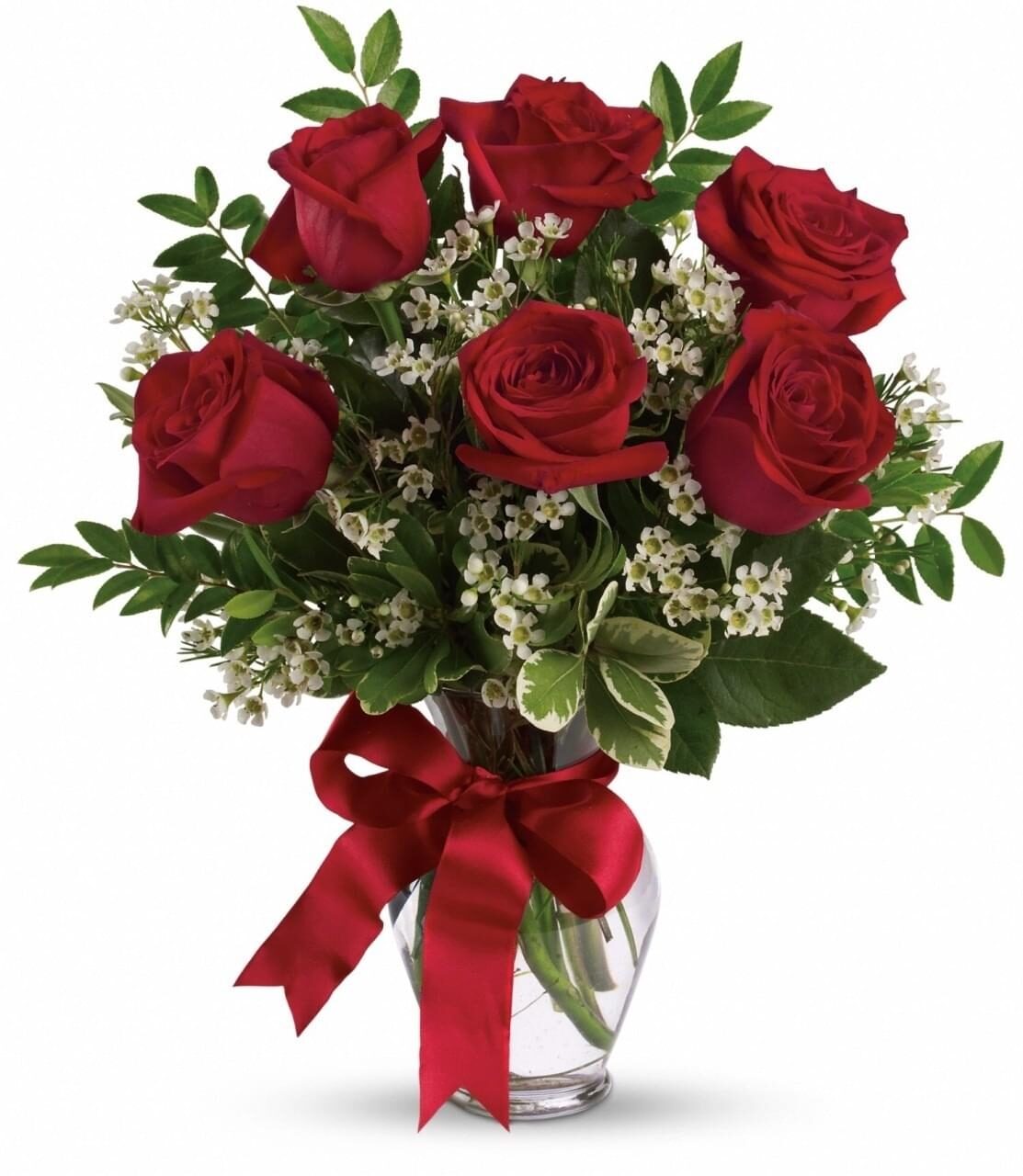 6 roses rouges