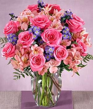 PINK RAINBOW (Regular (As Shown))