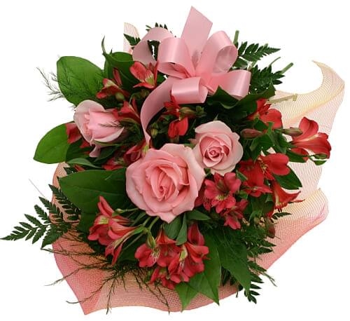 Toutes mes roses d'amour