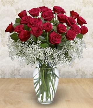 Champ de roses