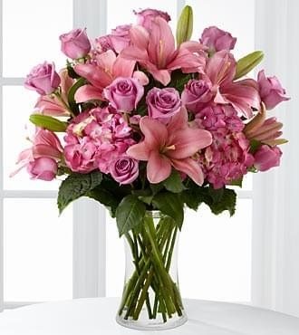 Magnificent Pink (Regular (As Shown))