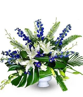 Blue Heaven Tribute (Petit)