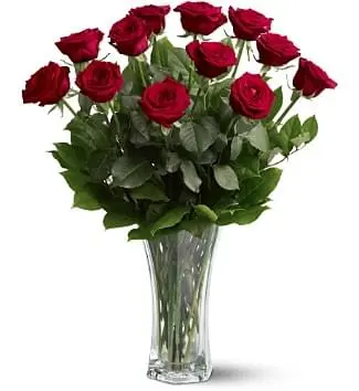DOUZAINES DE ROSES À TIGES LONGUES DE QUALITÉ SUPÉRIEURE