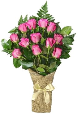 12 roses roses