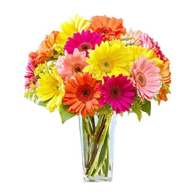 Gerbera Bouquet