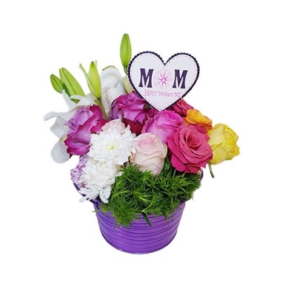 Fleurs en pot