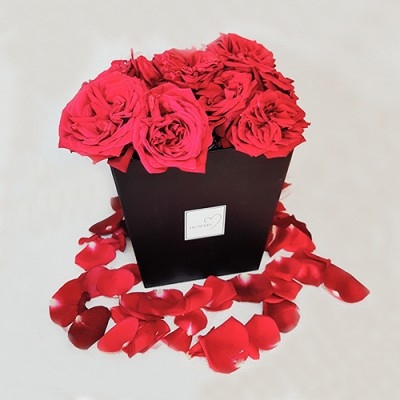 Boîte noire et rouge