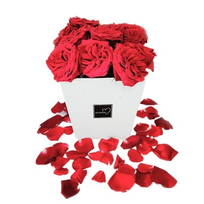 Boîte blanche et rouge