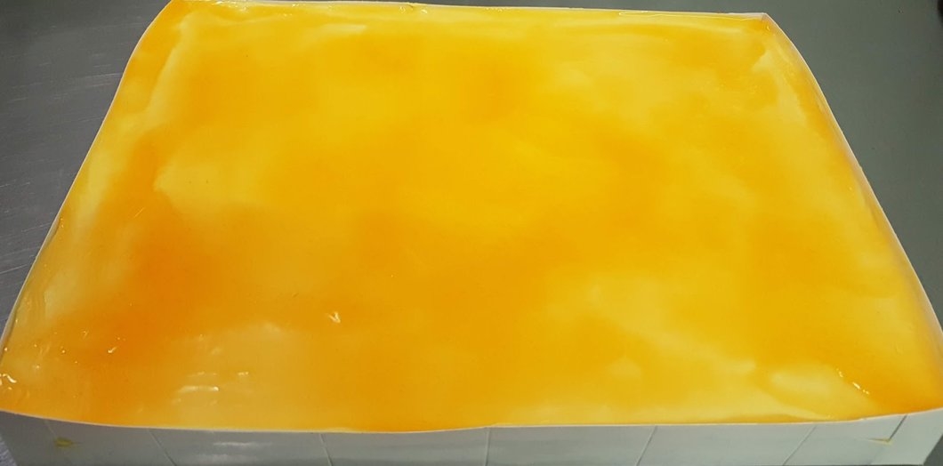 Dalle de mousse à la mangue 16"X 12"