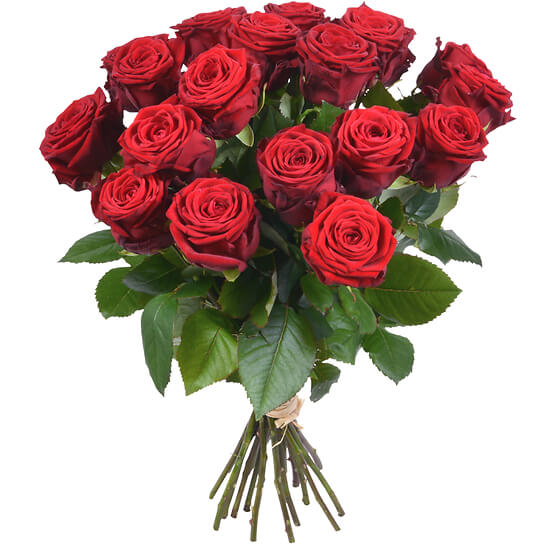 24 roses rouges