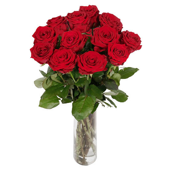 12 roses rouges à longue tige