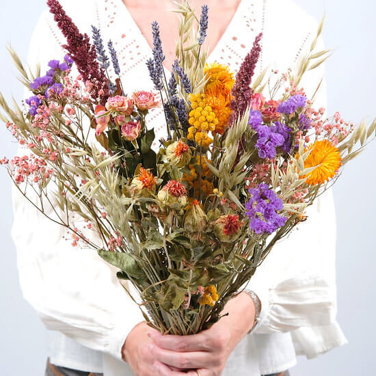 Fleurs séchées multicolores