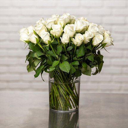 Blanc pur