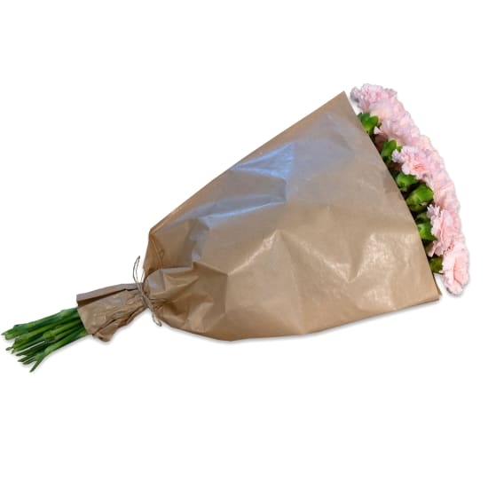 Paquet d'oeillets roses