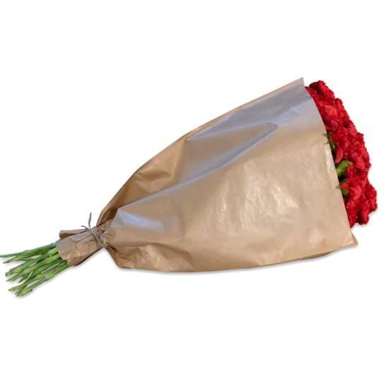 Paquet d'oeillets rouges