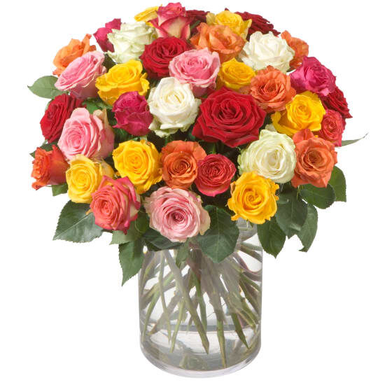 Bouquet coloré de roses (minimum)