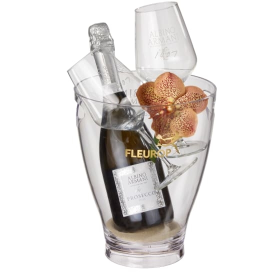 Élégance naturelle: Prosecco Albino Armani Doc (75 Cl) Incl. Seau à glace et deux verres "connaisseur"