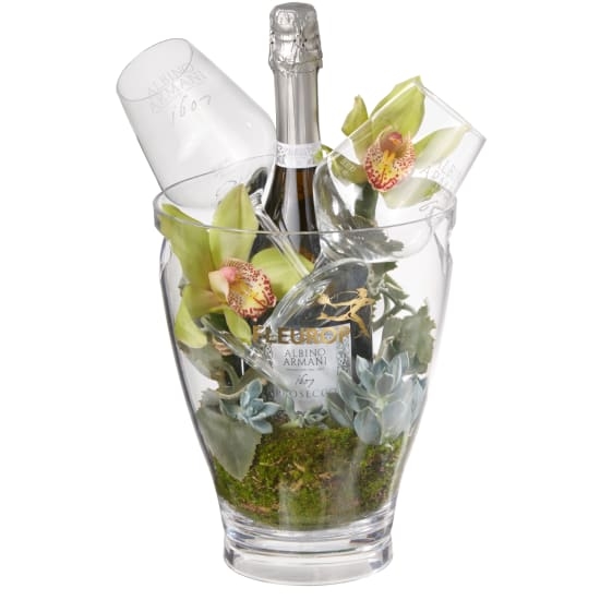 En harmonie avec la nature: Prosecco Albino Armani Doc (75 Cl) Incl. Seau à glace et deux verres "Connaisseur"