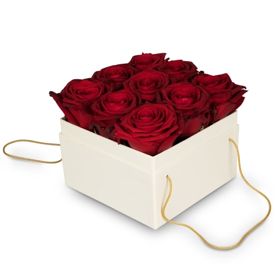 Flowerbox «Venise» (15 Cm)