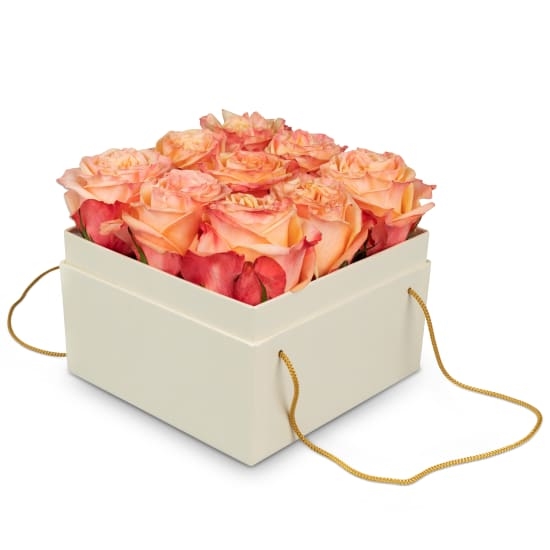 Flowerbox «Vienne» (15 Cm)