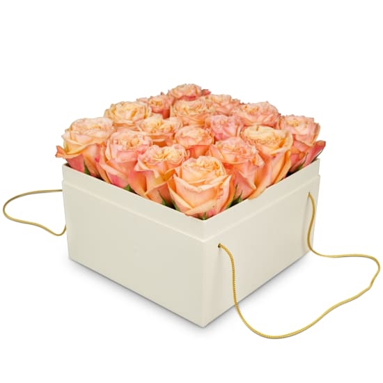 Flowerbox «Vienne» (20 Cm)