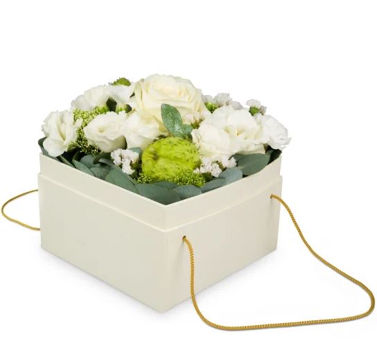 Boîte à fleurs «Dublin» (15 Cm)