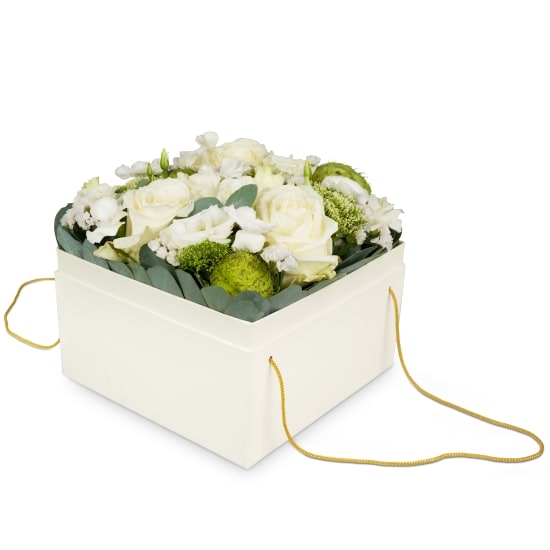 Jardinière « Dubli » (20 Cm)