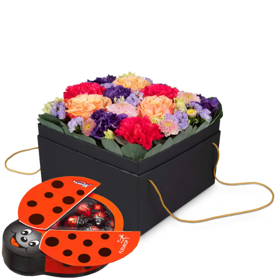 Jardinière «Amsterdam» (20 Cm) Avec Coccinelle Chocolat