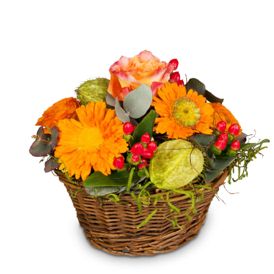 Pure Spring (Minimum)