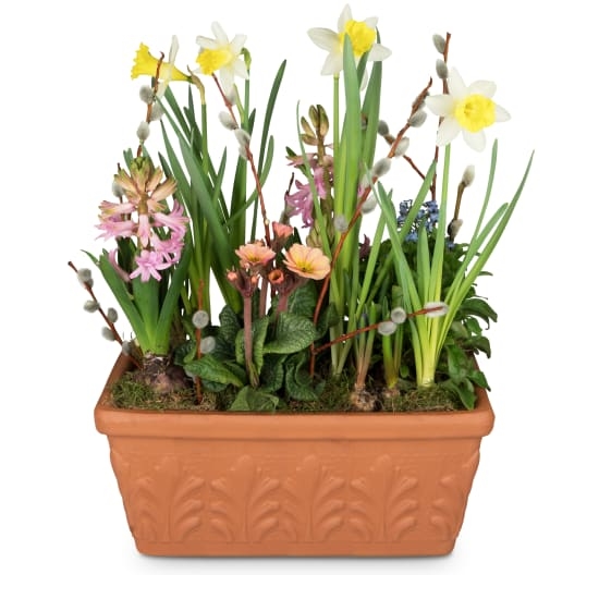 Joyeux petit jardin printanier (minimum)